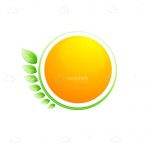 Orange Circle With Green Surrounding and Abstract Leaves